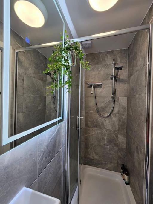 Stylish Putney Village Flat London Eksteriør billede
